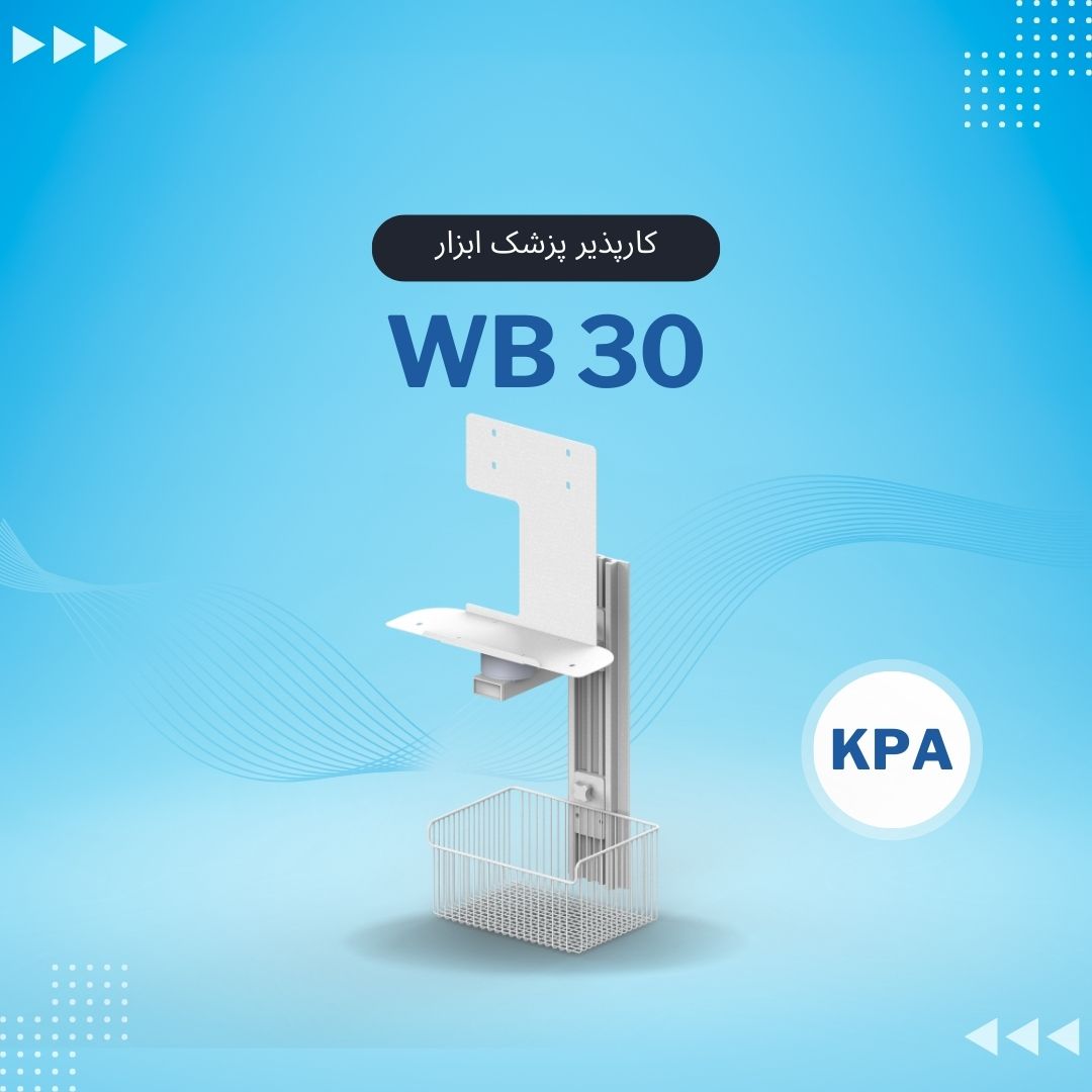 پایه مانیتورینگ دیواری WB30