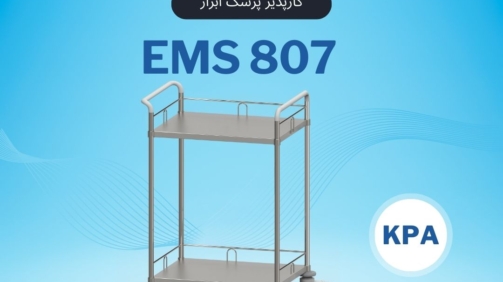 EMS807