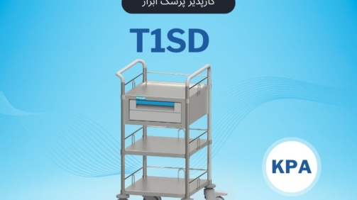 T1SD