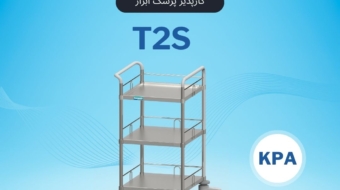 T2S