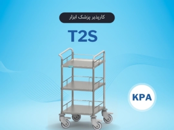 T2S